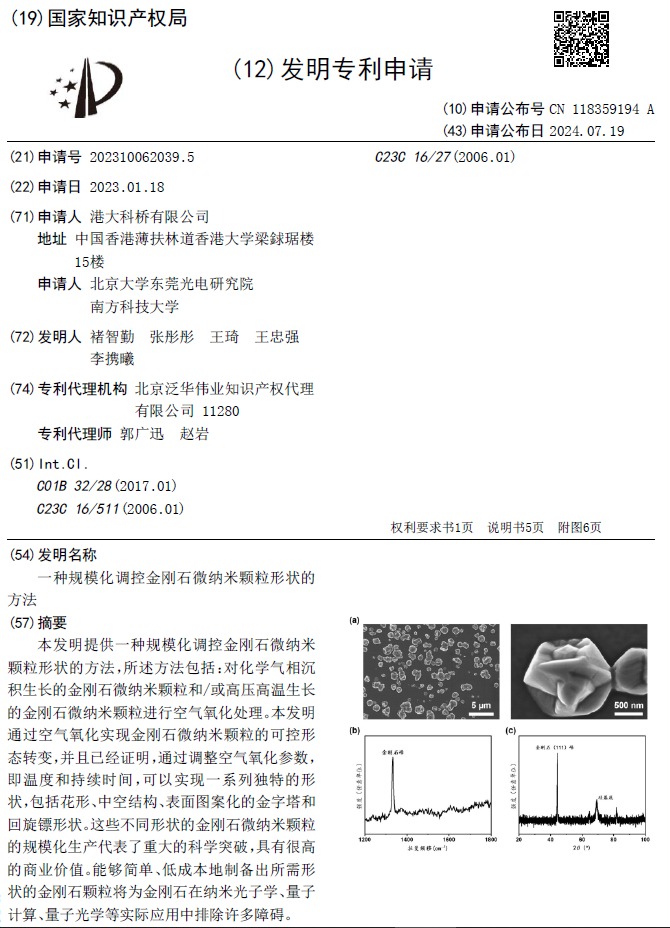 Patent Image 6