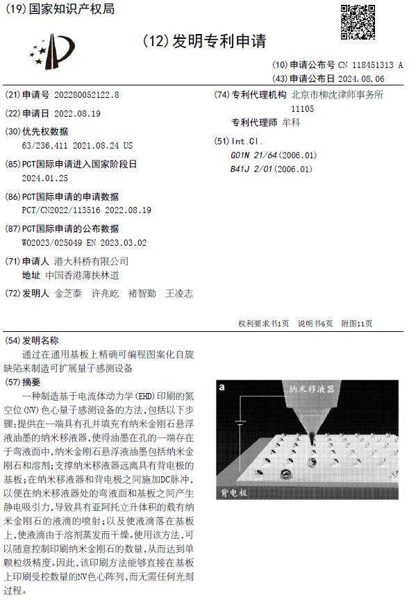 Patent Image 7