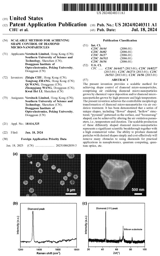 Patent Image 10