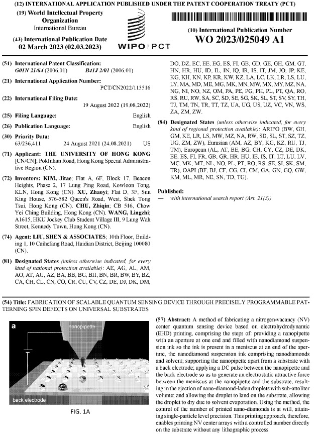 Patent Image 12