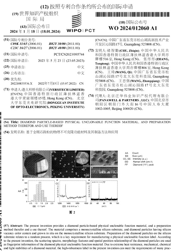 Patent Image 13